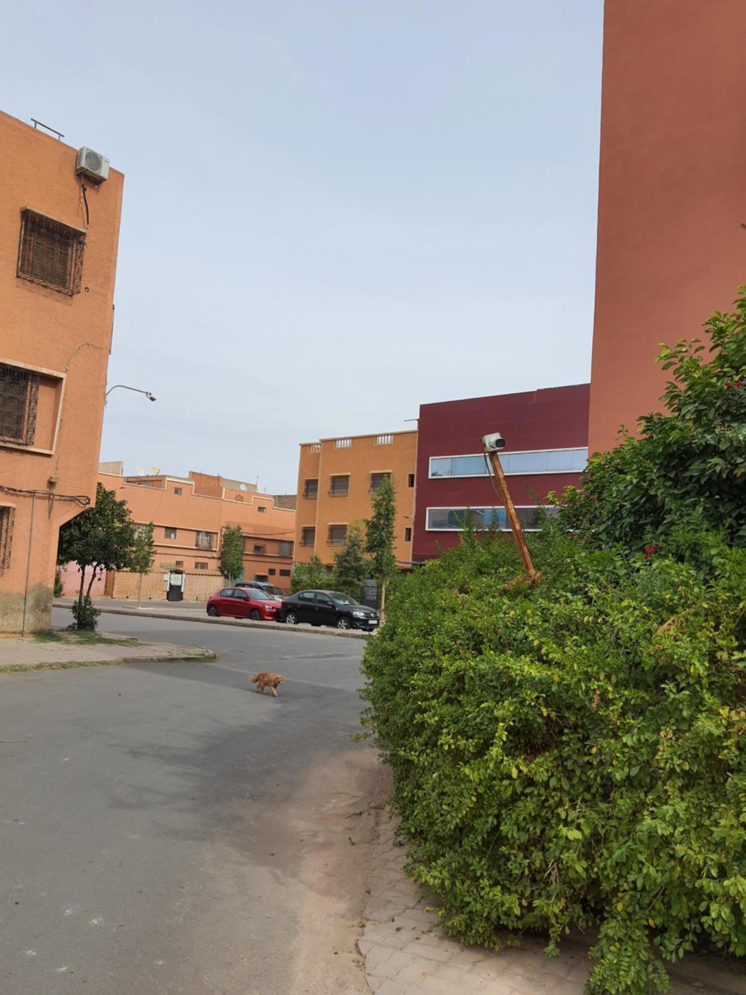 Marrakech Apartman Marrákes Kültér fotó