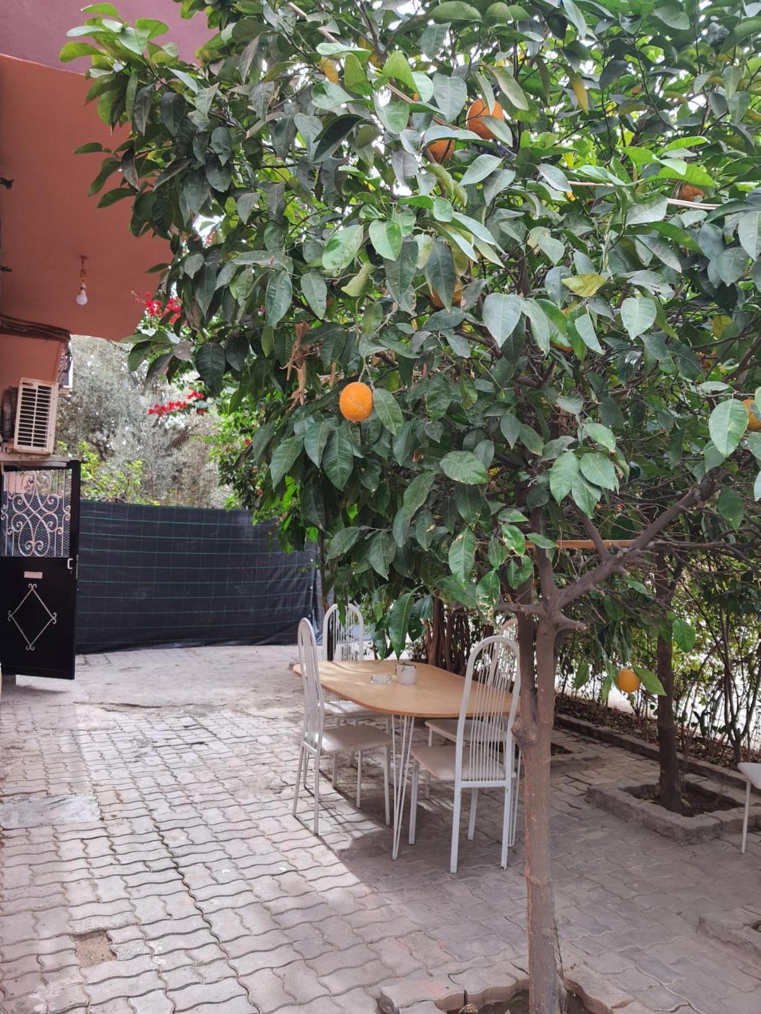 Marrakech Apartman Marrákes Kültér fotó